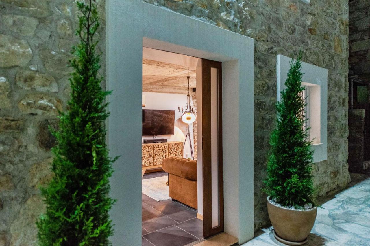 Villa Planita Dalmacija Novigrad  ภายนอก รูปภาพ