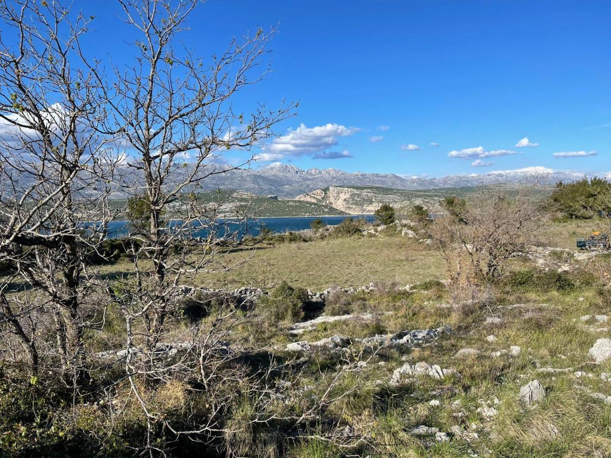 Villa Planita Dalmacija Novigrad  ภายนอก รูปภาพ